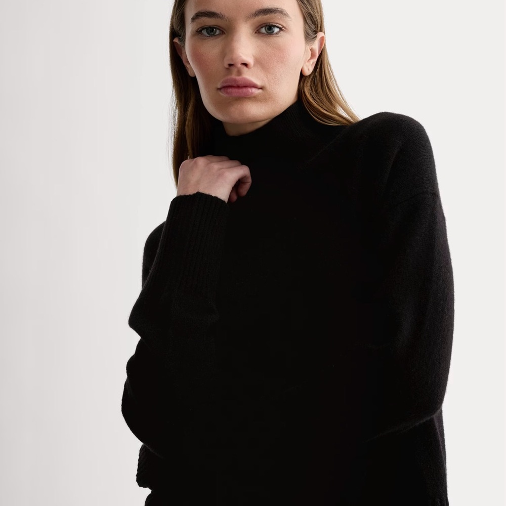 Everlane cashmere The Boxy Turtleneck in Cashmere